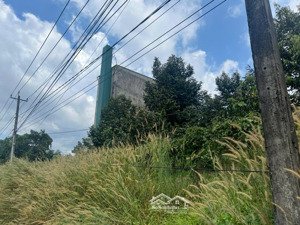 bán đất tại thị trấn đạ m''ri, 15 tỷ, 13500 m2, mặt tiền 50m