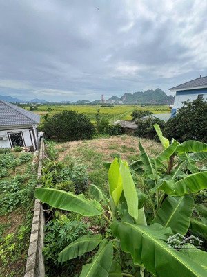 500m 200m đất ở lô 2 mặt đường trước sau tại thôn đồi miễu xã xuân mai hnoi