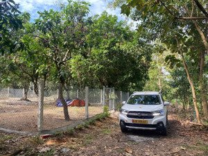 bán lô đất ~2000m2 ngay định quán giá 590 tr thương lượng