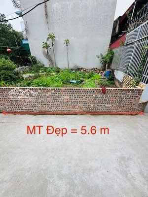 đất đẹp phúc lợi, mặt tiền rộng cơ hội đầu tư hiếm diện tích 56m mặt tiền 5,6m giá rẻ nhất khu vực