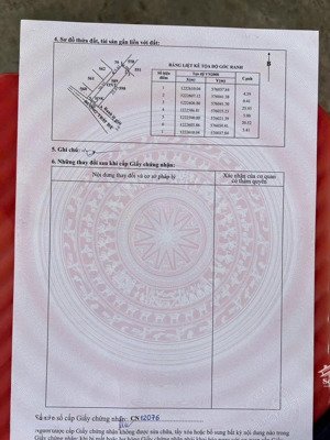 giá siêu rẻ củ chi - trung lập thượng