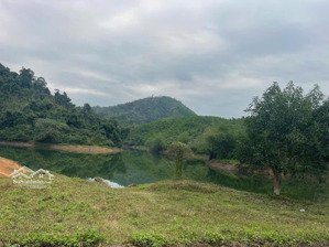 bán đất bán hồ tại kim bôi hòa bình view cánh đồng