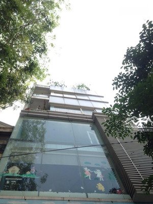 cho thuê nhà mặt phố mai anh tuấn, p ô chợ dừa: diện tích 115m x 4 tầng, mặt tiền 8m, có thang máy