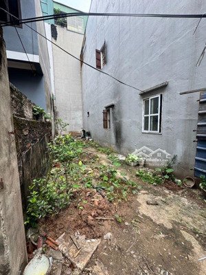 bán đất phố tam trinh- giá tốt nhất khu vực- thửa vuông vắn- 15m ra ô tô- gần phố- tiềm năng tốt