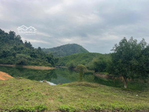 cần bán đất view cánh đồng tại kim bôi, hòa bình