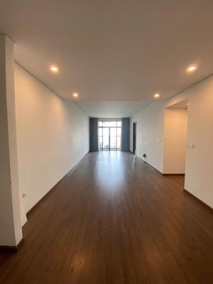 cho thuê căn góc 4pn rộng siêu hiếm ở sun ancora , số 3 lương yên