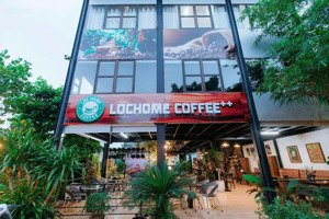 văn phòng ảo tại hải phòng - giá chỉ 299k/ tháng