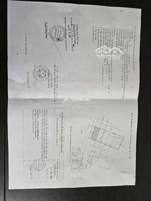 chính chủ xuất cảnh cần bán nhanh biệt thự phố đẹp, thoáng mát- q. gò vấp- nở hậu, phong thủy tốt