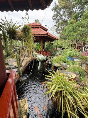 biệt thự vườn 1.669,6m² ngay trung tâm củ chi tặng cây kiểng gần 2 tỷ, giá 13 tỷ 500 triệu