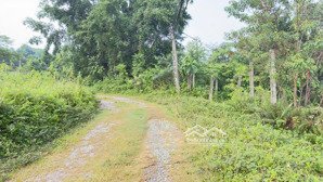 cần bán lô đất nghỉ dưỡng vị trí vàng tổng dt 915 (200m thổ cư)