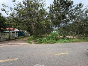 bán đất tại xã long nguyên, 10,8 tỷ, 1550 m2, có 100m2 thổ cư, pháp lý đầy đủ, uy tín, giá tốt