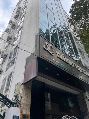 cho thuê nhà mới xây mặt phố lý nam đế 100m2x7 tầng, mt7,5m, có thang máy