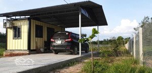 bán vườn và nhà nhỏ thích hợp nghỉ dưỡng tại minh hòa, huyện dầu tiếng, bình dương, 1,1 tỷ, 1100 m2