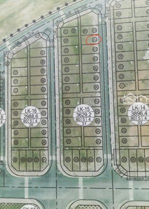 bán lô biệt thự tdc áp tràn-bắc sông cấm thuỷ nguyên