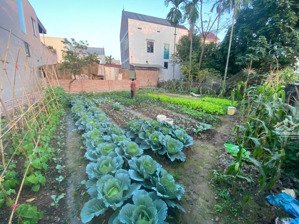 cơ hội vàng sở hữu mảnh đất đẹp - 100m2- ful thổ cư - kinh doanh - ô tô tránh - ô tô ngủ trong nhà