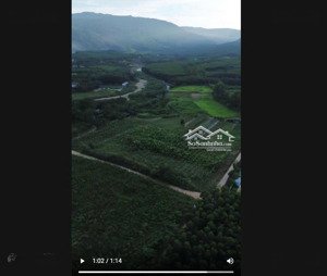 bán nhanh 10.000m² đất cây lâu năm hoà phú gần khu tmtd