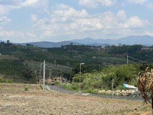 chỉ từ 490 triệu, nắm trong tay lô đất 7x38 (72m thổ cư) ngay thị trấn đinh văn lâm hà