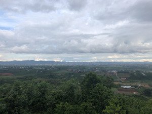 chính chủ bán 1 mẫu vườn cà phê, view núi đối diện sân bay