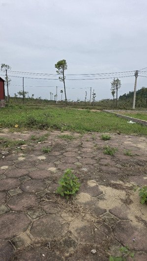 bán lô đất 96,5m tại x1 tam đồng