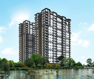 cho thuê căn hộ dockland nguyễn thị thập 72m 2pn 13tr
