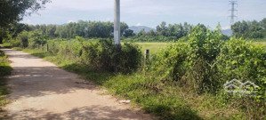 bán đất mặt tiền 200m tại phước hà - khánh hoà, 2,5 tỷ, 9810 m2 giá cực hot