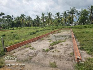 bán đất tại đt 782, gia lộc, trảng bàng, tây ninh, 650 triệu, 144 m2