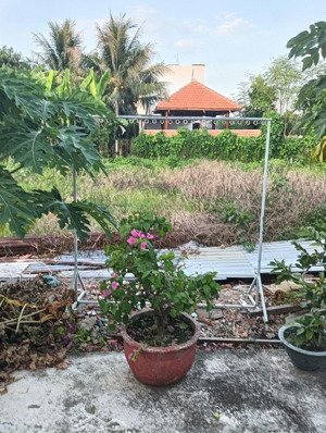 chính chủ bán đất diên lạc - diên khánh giá tốt