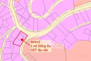 + đất đẹp xây biệt thự / khách sạn ngay trung tâm tp đà lạt, 2mt đống đa, 964m2, view đẹp toàn cảnh