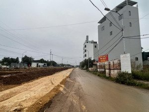 siêu phẩm 48m2 đất dịch vụ, song phương, vị trí đẹp, giá tốt nhất thị trường