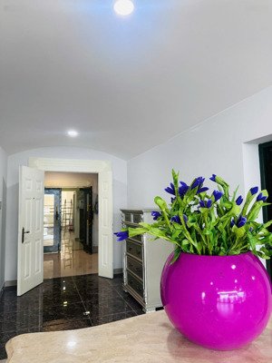 phúc yên 1 - căn hộ nhà ở thương mại - vừa ở vừa kinh doanh siêu tiện lợi giá 7.32 tỷ dt 119m2