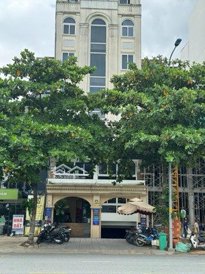 bán tòa nhà trương văn bang, tml quận 2 - 8 x 20 - hầm 7 tầng - hđt nét 180tr