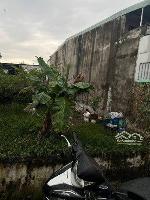 bán đất cây lâu năm đường hồ văn tắng củ chi-250m2 hẻm xe hơi giá 2,55 tỷ.