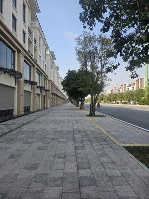 shophouse đại lộ bốn mùa ocean park 3
trục kinh doanh trung tâm đường rộng 51m đón đầu dòng tiền