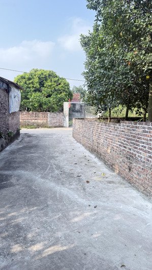 bán đất tại xã châu ninh, hưng yên, giá ưu đãi 8,7 tỷ, diện tích 388 m2