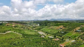 bán đất tại thôn 1, xã cộng hòa, huyện quốc oai, hà nội, 20 tỷ, 380 m2 chỉ với uy tín