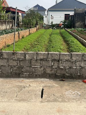 gần chợ đông tảo cũ bán 83m2 đường trước đất 2 ô tô tránh giá đầu tư 3 tỷ có tl