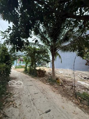 bán đất gần biển gần chợ không bị ngập lụt tại xã vĩnh phương giá đầu tư sinh lời cao