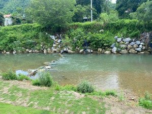 bán khuôn viên nghỉ dưỡng đang kinh doanh bám suối lớn .đẹp nhất lương sơn