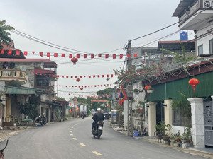 100,3m đất trục chính yên vĩnh triệu việt vương hưng yên sát đường 377,đường di sản,sân golf,đô thị