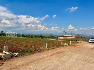 350 triệu-150m2 ngay dốc 800 đinh văn lâm đồng