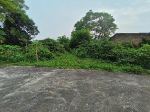 bán đất tại thụy vân, 950 triệu vnd, 99.8 m2, mặt tiền 4.2m, nhiều tiện ích