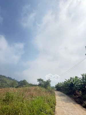 ngộp - lại hạ giá nữa rồi sổ sẵn giá tốt view đẹp tại lâm hà