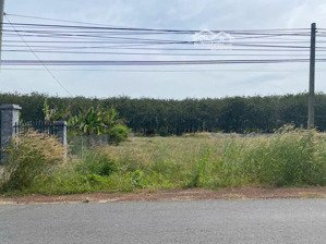 chính chủ cần bán gấp lô đất 10m ngang mặt tiền dt744 xã minh thạnh - hồ chí minh