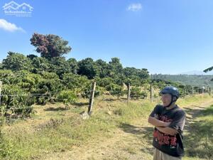 CHÍNH CHỦ CẦN BÁN GẤP LÔ ĐẤT MT QUỐC LỘ 28 GIÁ ĐẦU TƯ NGAY XÃ GUNG RÉ, DI LINH, LÂM ĐỒNG