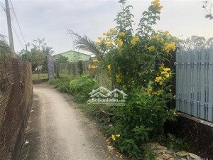 bán đất tại an vĩnh ngãi, 2 tỷ, 259m2, mặt tiền 5.8m, ngõ 3m