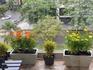 cho thuê căn hộ garden court 1 phú mỹ hưng