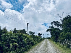 bán trang trại, khu nghỉ dưỡng ở xã măng cành, 399 triệu, 1000m2