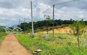 bán hơn 400m2 đất vị trí nam hà, sát đường nhựa dh93