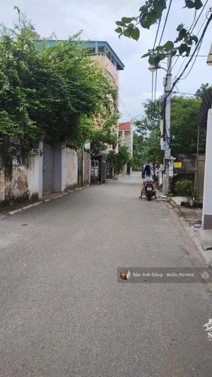 bán đất trâu quỳ 56m² giá 95tr/m² ô tô đỗ cửa có nhà sẵn cho thuê - giá chỉ 5.3 tỷ