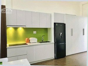 cho thuê nhà cấp 4 có sân vườn khu nam hoà xuân. full nội thất